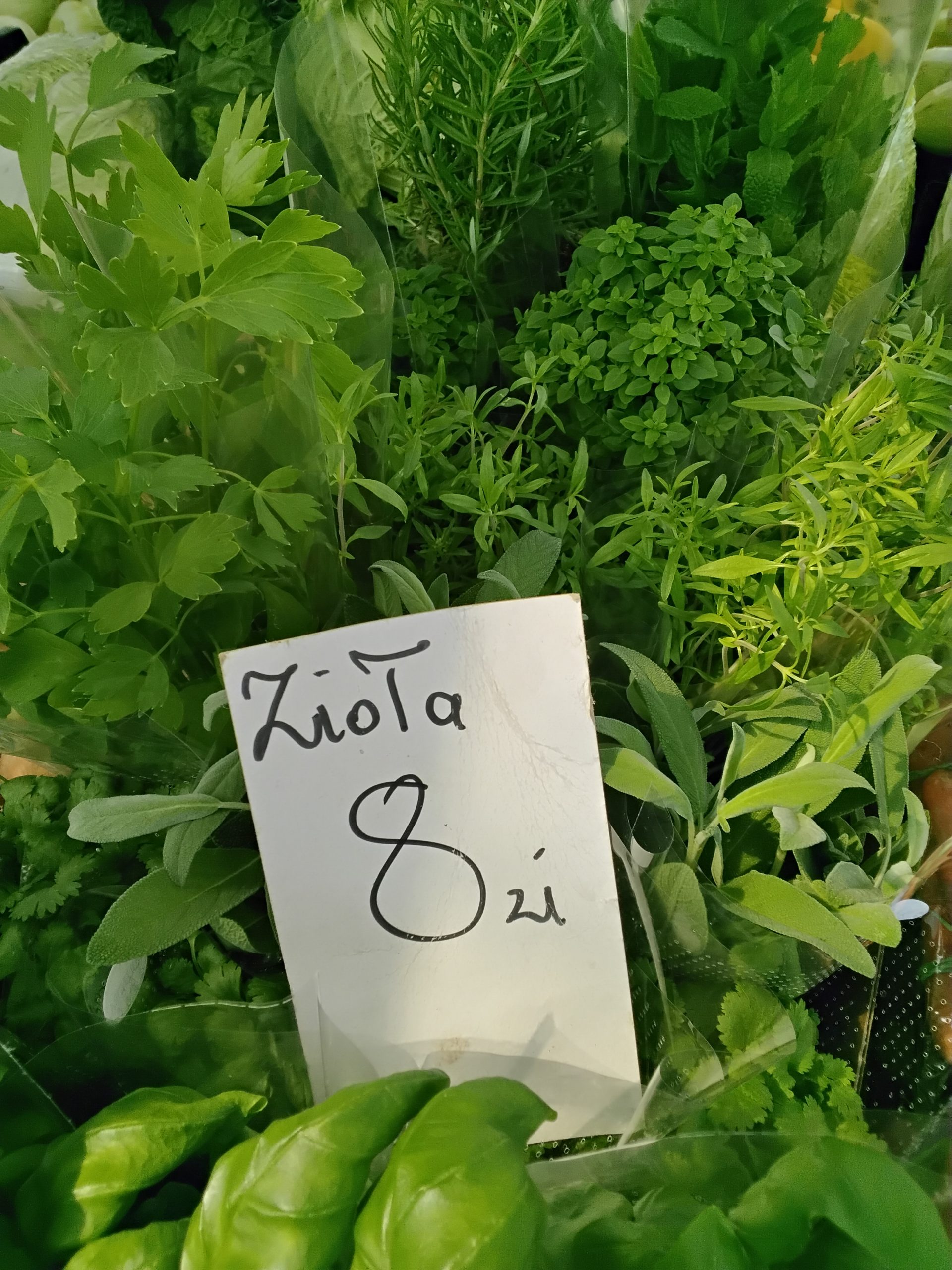 Zioła
